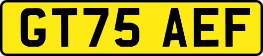 GT75AEF