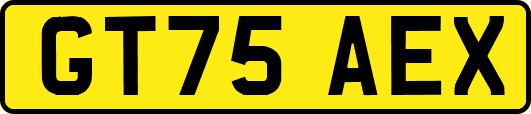 GT75AEX