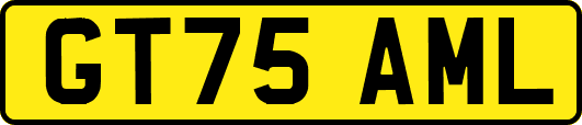 GT75AML