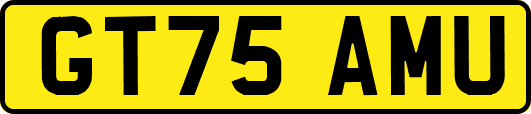 GT75AMU