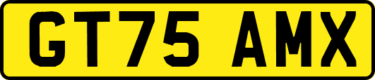 GT75AMX
