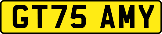 GT75AMY