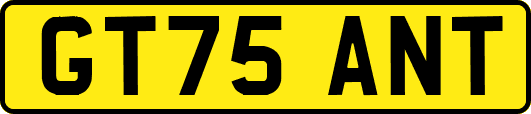 GT75ANT