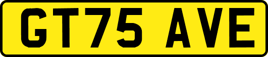 GT75AVE