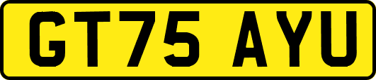 GT75AYU