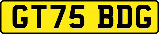 GT75BDG