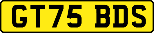 GT75BDS