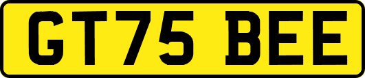 GT75BEE