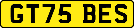 GT75BES