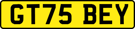 GT75BEY