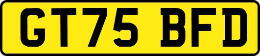 GT75BFD