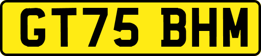 GT75BHM
