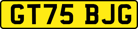 GT75BJG