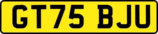 GT75BJU