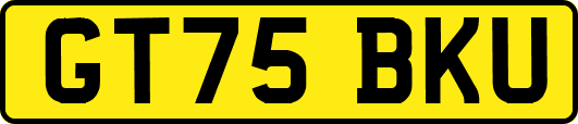 GT75BKU