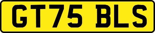 GT75BLS