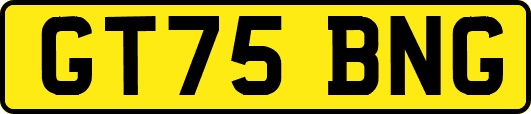 GT75BNG