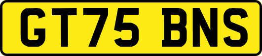GT75BNS