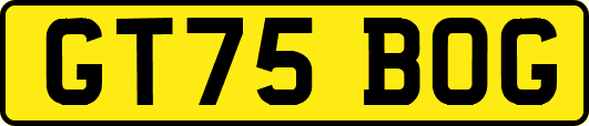 GT75BOG