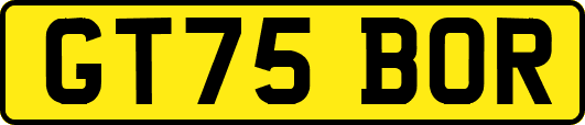 GT75BOR