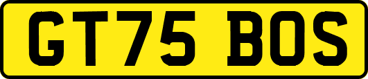 GT75BOS