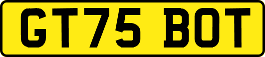 GT75BOT