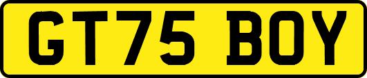 GT75BOY