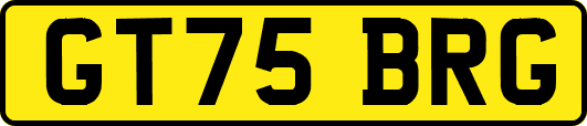 GT75BRG