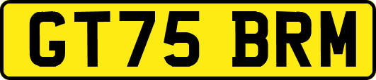 GT75BRM