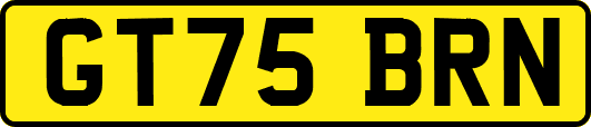 GT75BRN