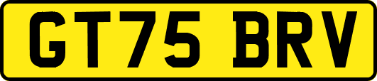 GT75BRV