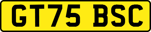 GT75BSC