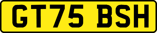 GT75BSH