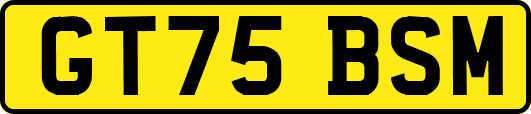 GT75BSM
