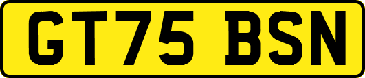 GT75BSN