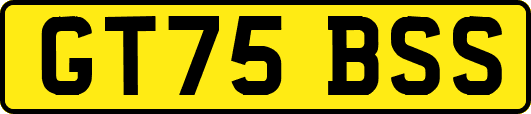 GT75BSS