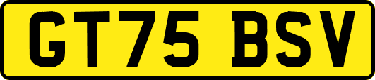 GT75BSV