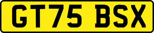 GT75BSX