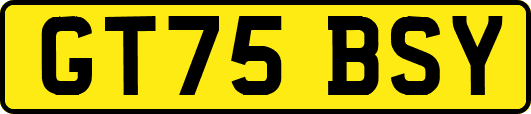 GT75BSY