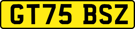 GT75BSZ
