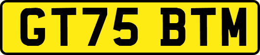 GT75BTM