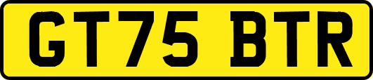 GT75BTR