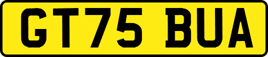 GT75BUA