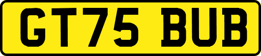 GT75BUB