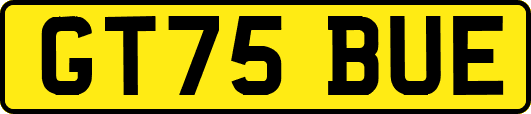 GT75BUE