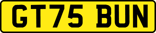 GT75BUN