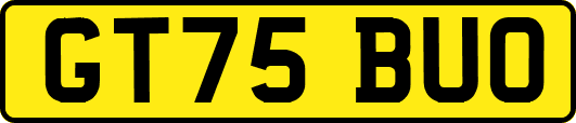 GT75BUO