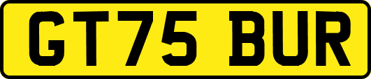 GT75BUR