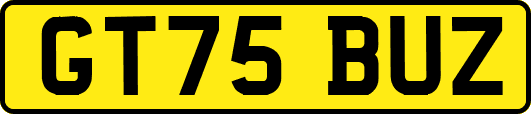 GT75BUZ