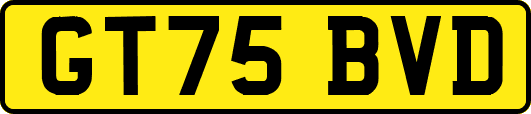 GT75BVD